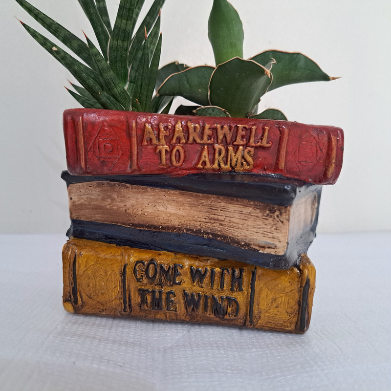 گل طبیعی سانسوریا مدل کتاب