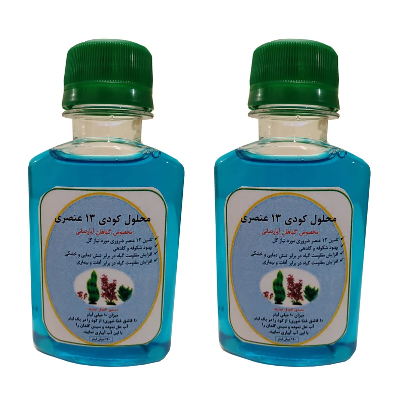 کود مایع محرک رشد مدل 13 حجم 120 میلی لیتر بسته دو عددی
