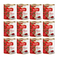 کنسرو رب گوجه فرنگی شهدین - 800 گرم بسته 12 عددی