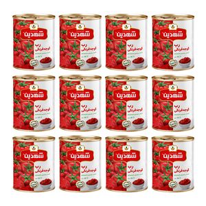 کنسرو رب گوجه فرنگی شهدین - 800 گرم بسته 12 عددی