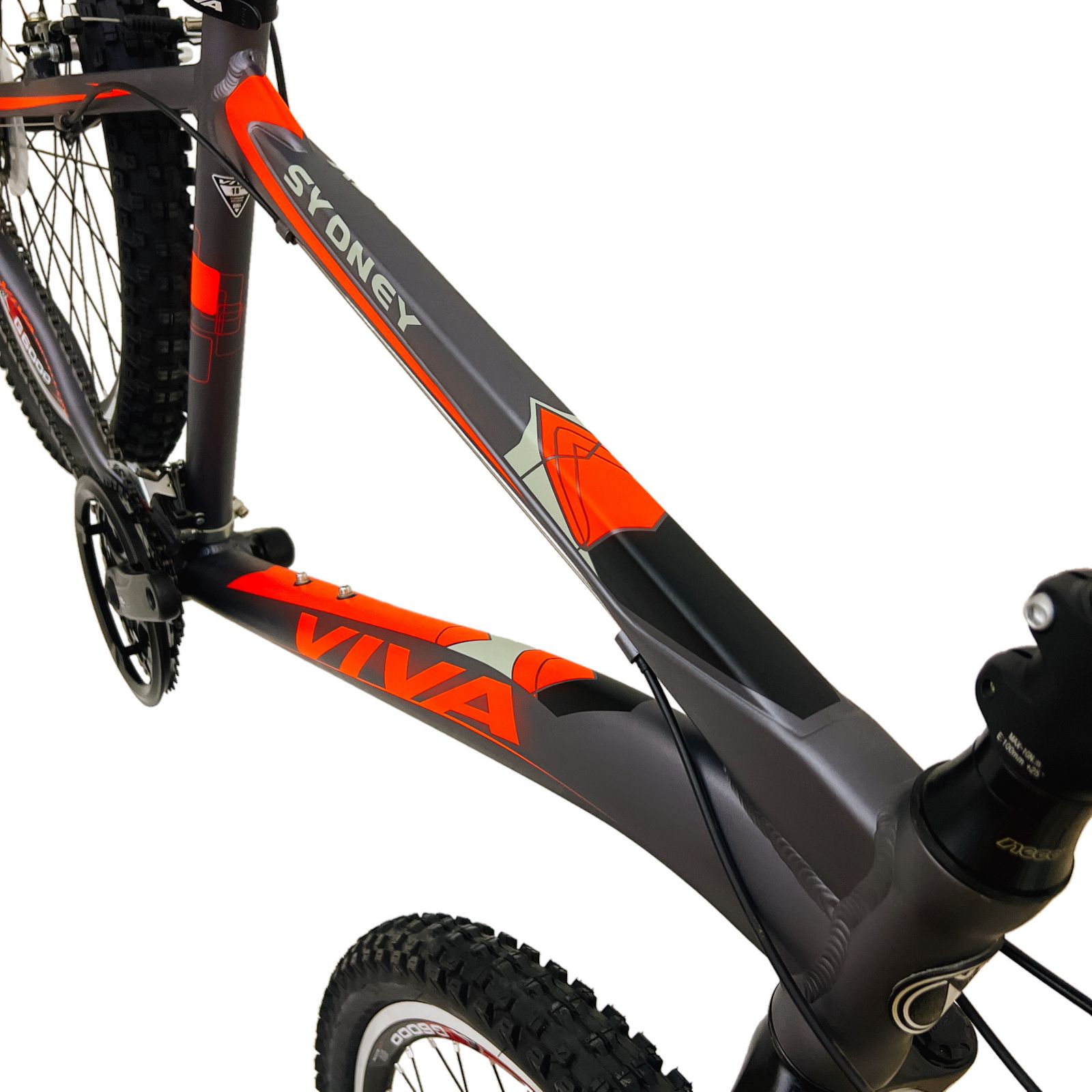 دوچرخه کوهستان ویوا مدل SYDNEY سایز طوقه 26 -  - 10
