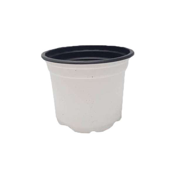 گلدان مدل ژله ای