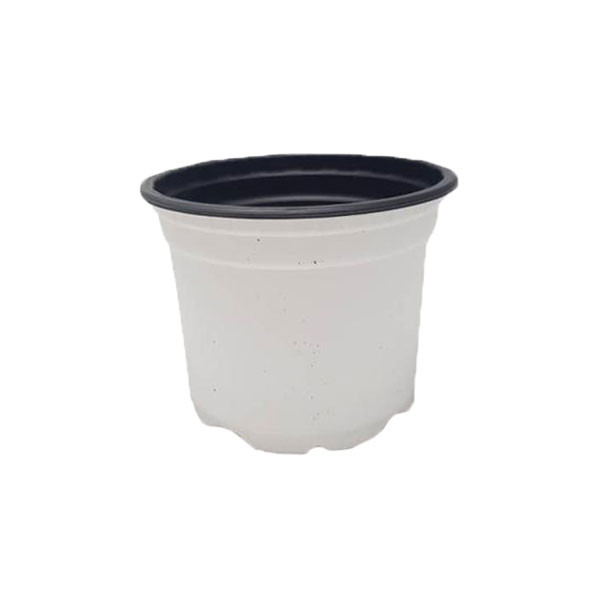 گلدان مدل ژله ای