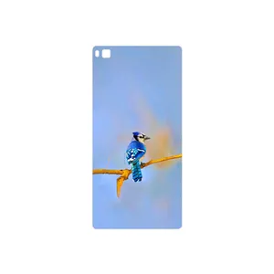 MAHOOT Cyanocitta cristata Cover Sticker for Huawei P8
