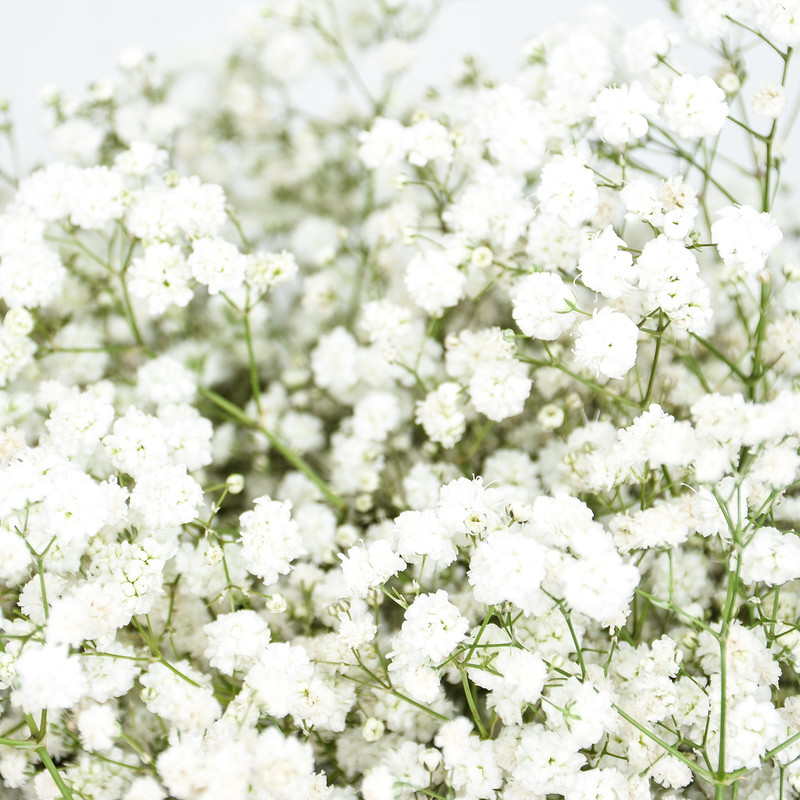 دسته گل ژیپسوفیلا سفید هیمان کد 1069