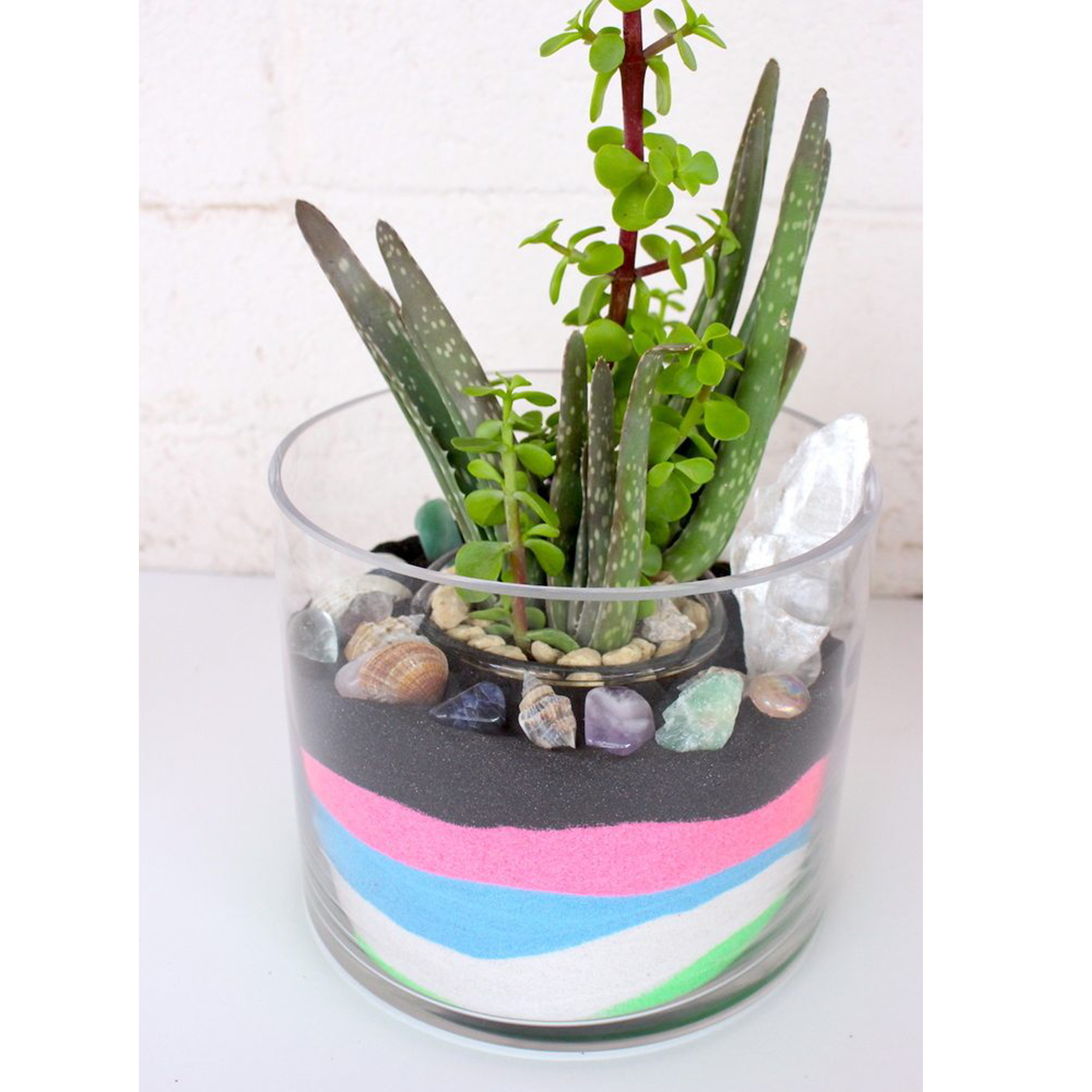 شن تزیینی مدل sh36 وزن 300 گرم بسته 6 عددی