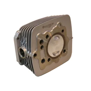 Cylinder and piston maximum model C3