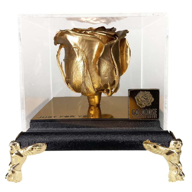 گل رز جاودان گلد رز مدلGOLD129