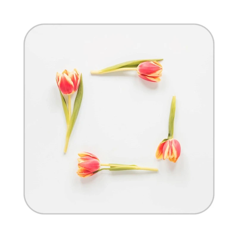 زیر لیوانی کاکتی طرح گل مدل mp17690