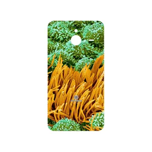 MAHOOT Atom Universe 6 Cover Sticker for Microsoft Lumia 640 XL