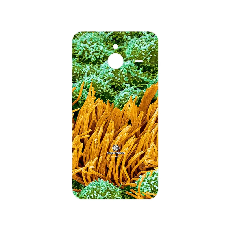 برچسب پوششی ماهوت مدل Atom Universe 6 مناسب برای گوشی موبایل مایکروسافت Lumia 640 XL