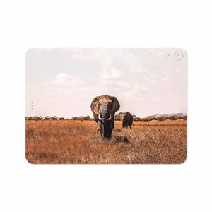 MAHOOT Elephant Cover Sticker for Apple iPad Pro 11 2018 A1980