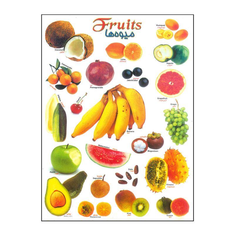 برچسب مدل میوه ها کد Fruits-14