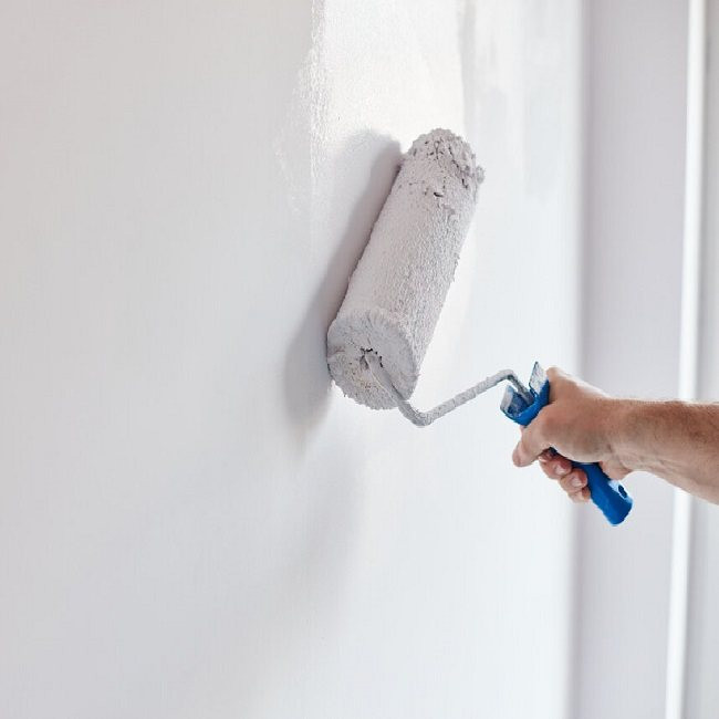 رنگ روغنی سفید براق رنگ نیپون کد 711 وزن 250 گرم