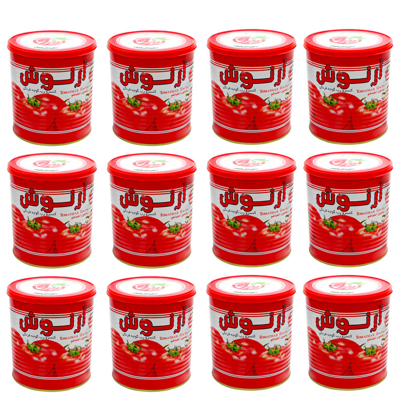 کنسرو رب گوجه فرنگی آرنوش - 800 گرم مجموعه 12 عددی
