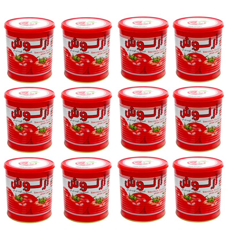 کنسرو رب گوجه فرنگی آرنوش - 800 گرم مجموعه 12 عددی