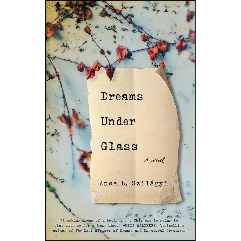 کتاب Dreams Under Glass اثر Anca L Szilagyi انتشارات Lanternfish Press