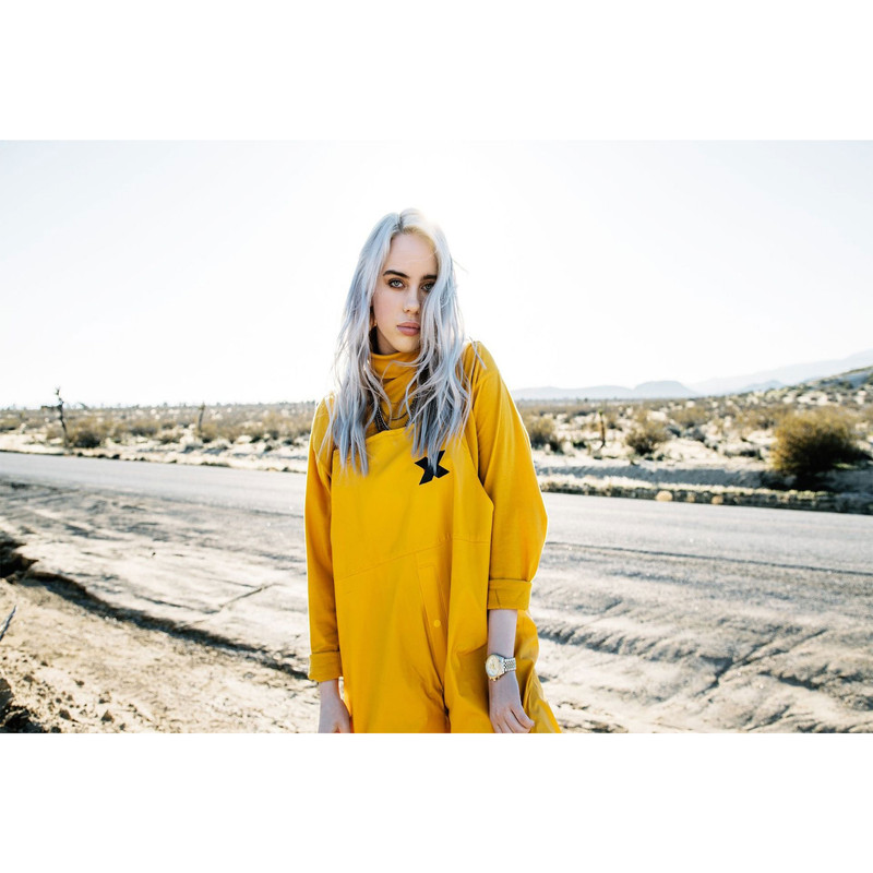 تابلو شاسی مدل خواننده بیلی آیلیش T5562