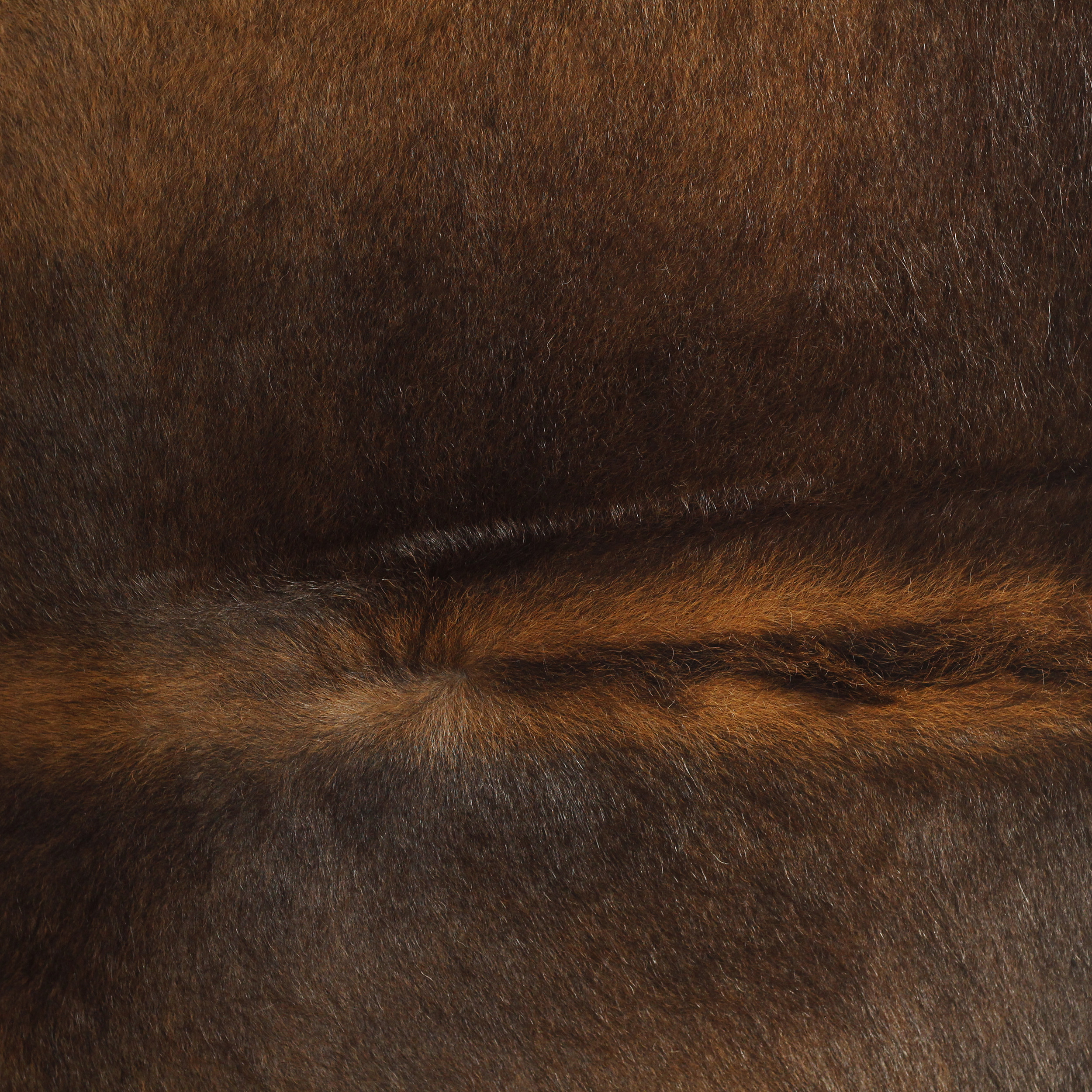 فرش پوست  مدل p247