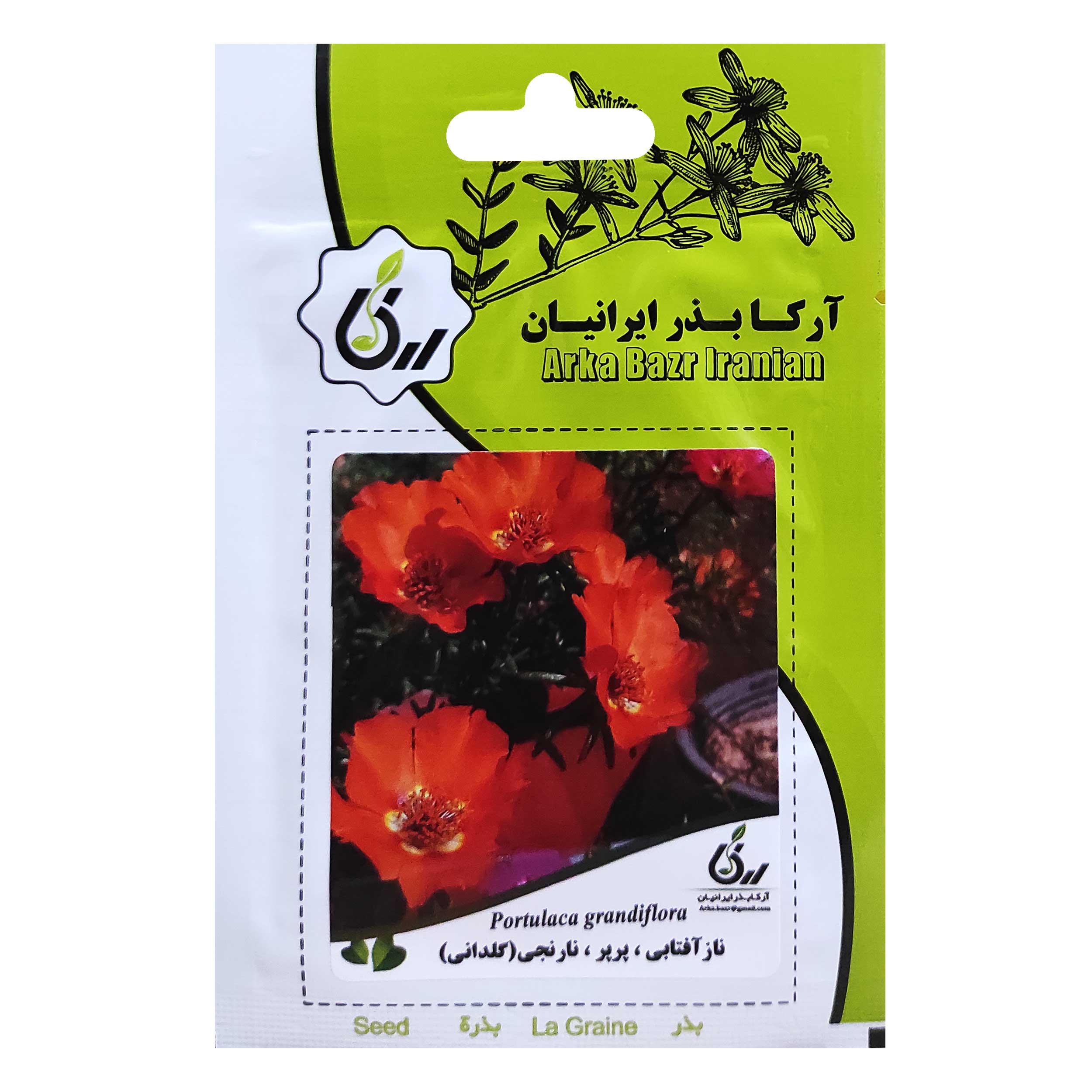 بذر گل ناز آفتابی پرپر نارنجی گلدانی آرکا بذر ایرانیان کد ARK-003 