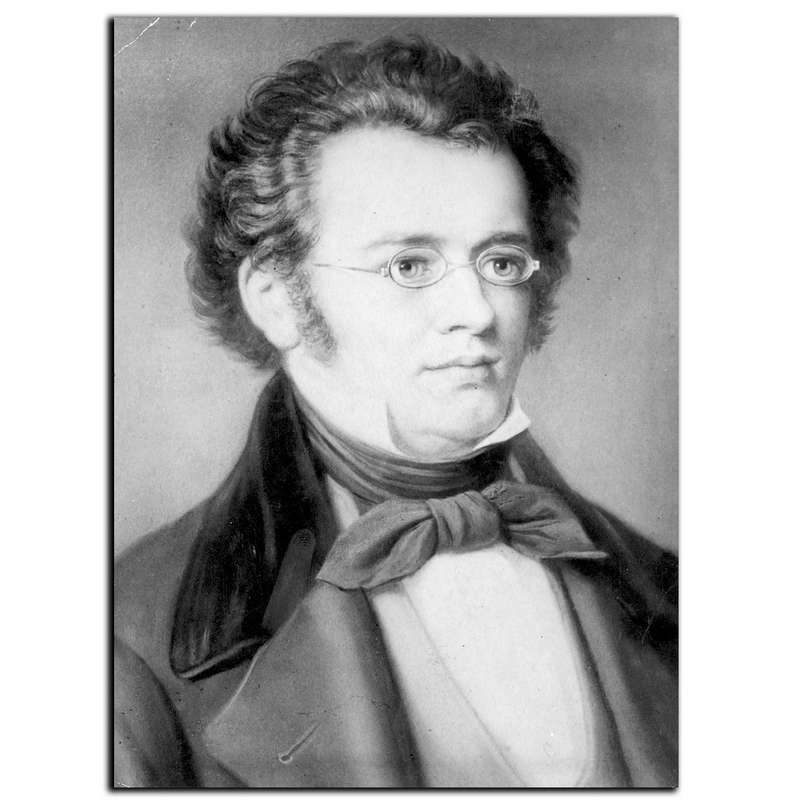 تابلو شاسی بکلیت طرح مشاهیر موسیقی شوبرت مدل SH-6020 تابلو شاسی بکلیت طرح مشاهیر موسیقی شوبرت مدل SH-6020