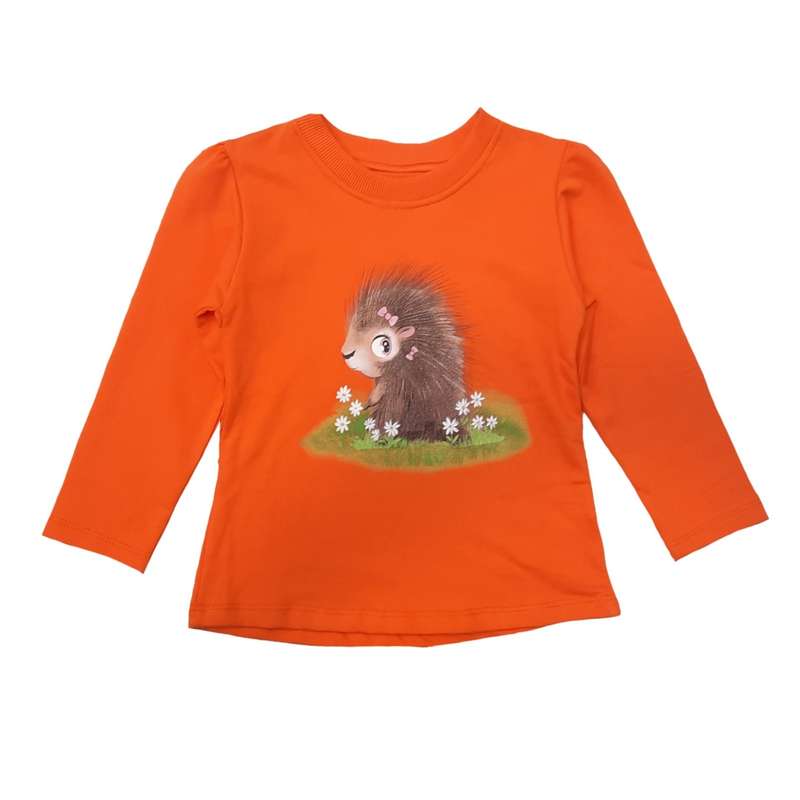 تی شرت آستین بلند دخترانه مدل d50