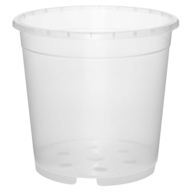 گلدان مدل شفاف ارکیده مجموعه 2 عددی