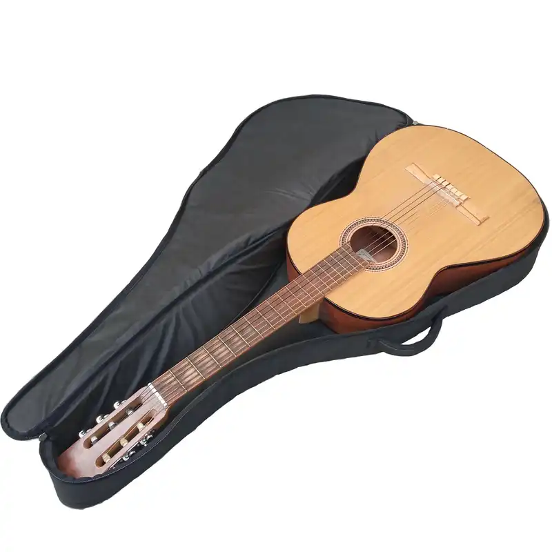 سافت کیس گیتار مدل RK