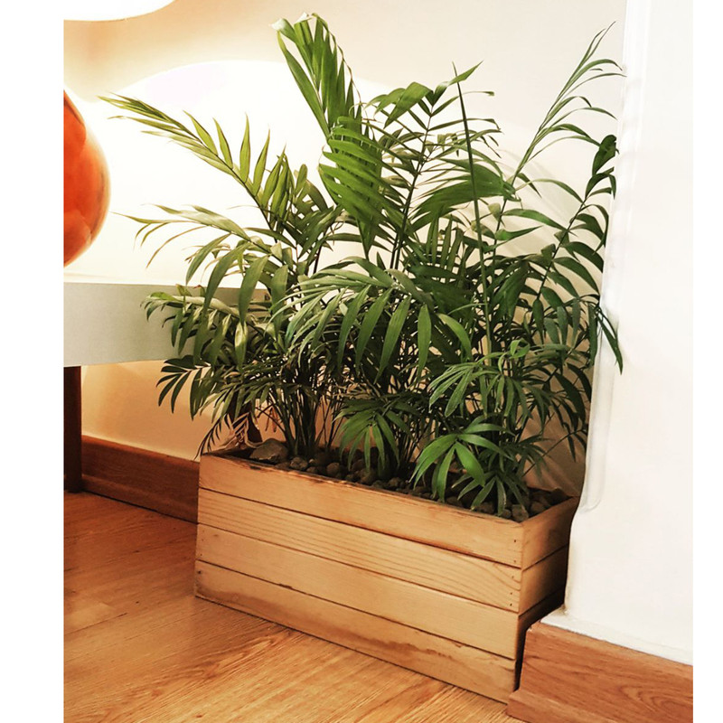 گلدان مدل 4317r4