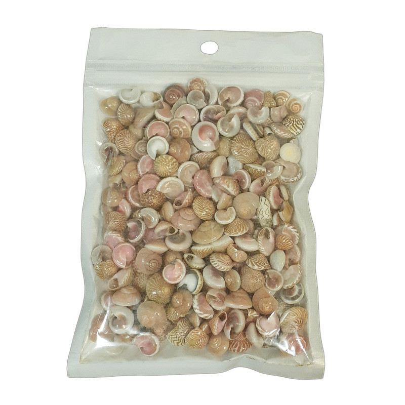 صدف تزیینی مدل HL_320 وزن 80 گرم