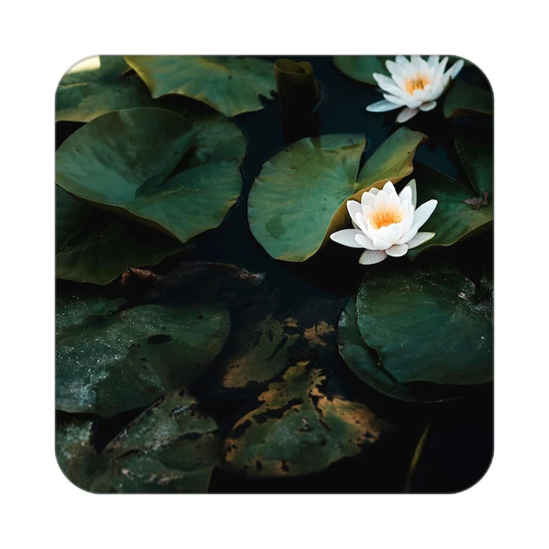 زیر لیوانی کاکتی طرح گل مدل mp17886