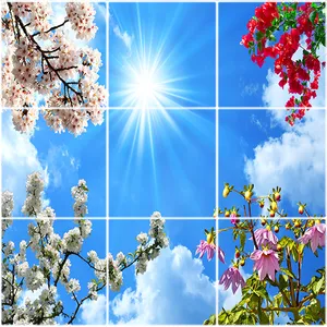  تایل سقفی آسمان مجازی طرح آسمان و گلهای زیبا کد ST 2485-9 سایز 60x60 سانتی متر مجموعه 9 عددی 