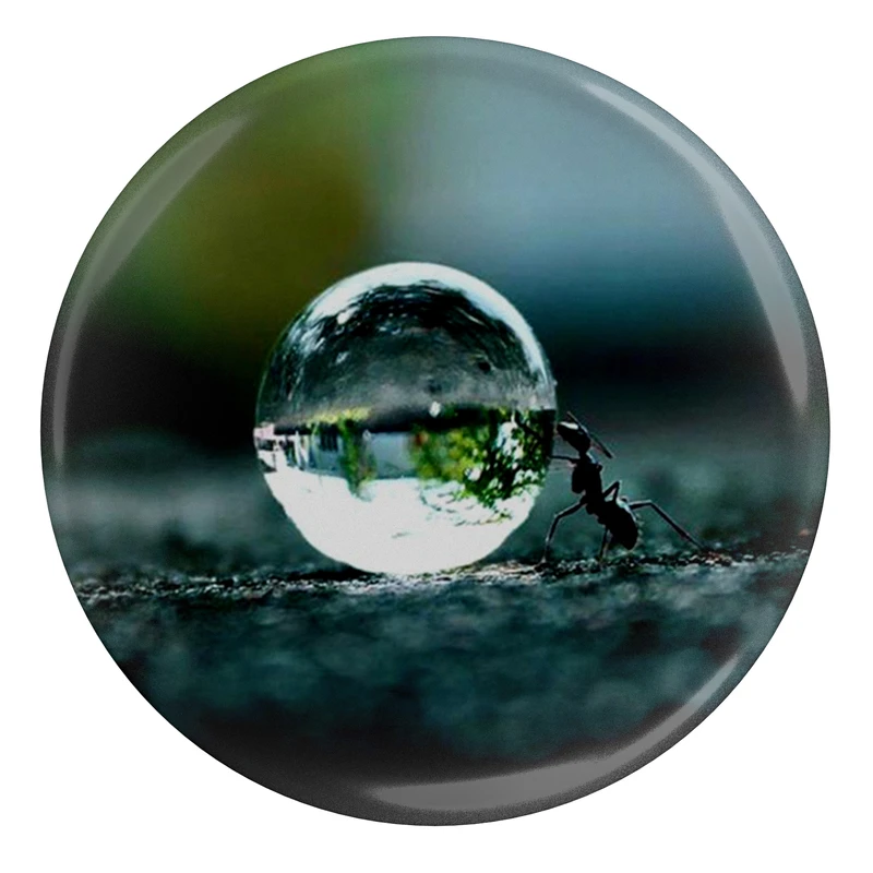 مگنت طرح مورچه و قطره آب مدل S1492 