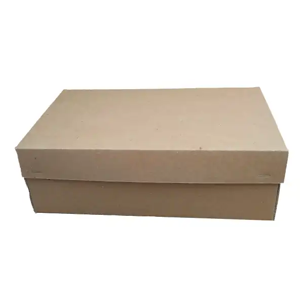 جعبه بسته بندی مدل کفش پسرانه کد B1 بسته 100 عددی