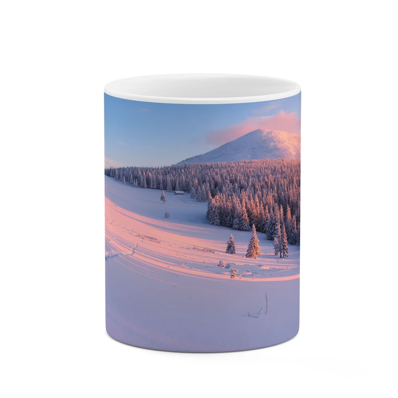 ماگ کاکتی مدل منظره کد mgh17775