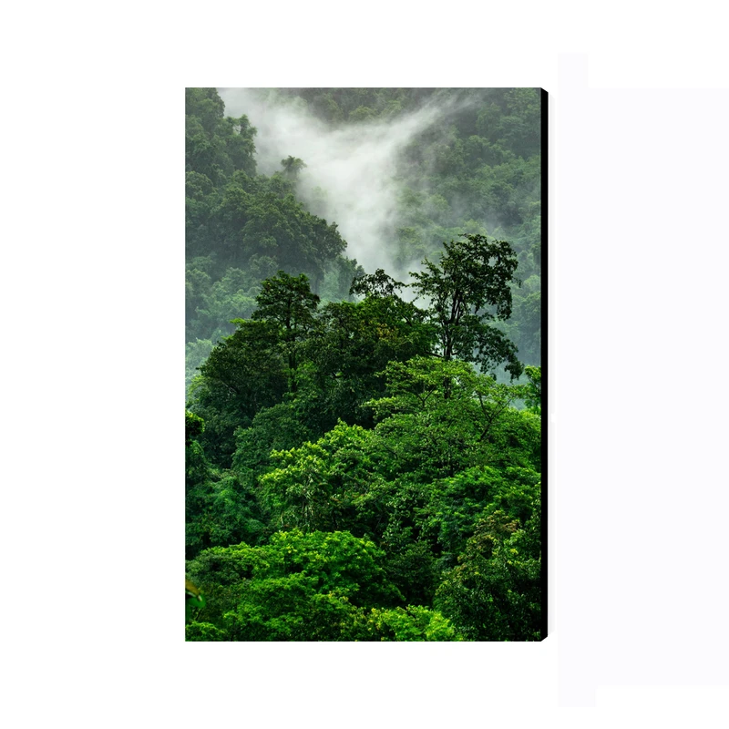 تابلو شاسی عرش مدل فانتزی طبیعت جنگل کد As3976