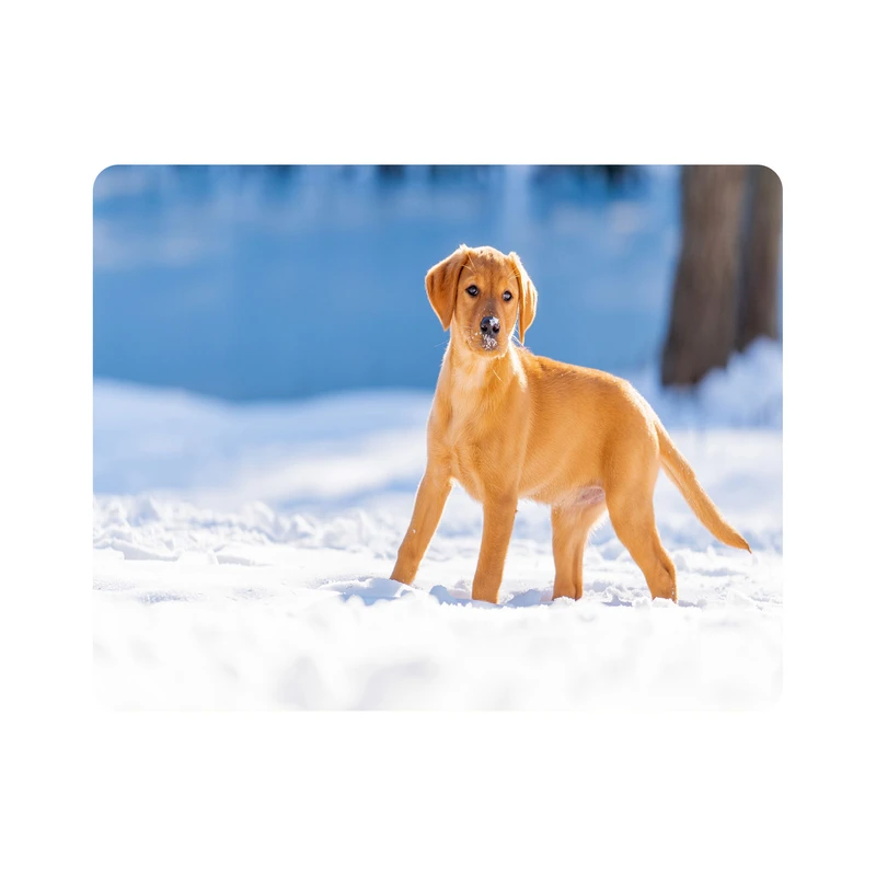 ماوس پد اطلس آبی طرح سگ در برف مدل T8017