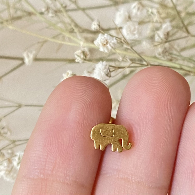 پیرسینگ گوش مدل فیل پیرسینگ گوش مدل فیل