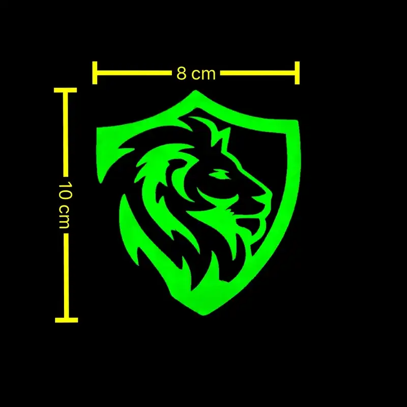 برچسب بدنه خودرو مدل شب نما