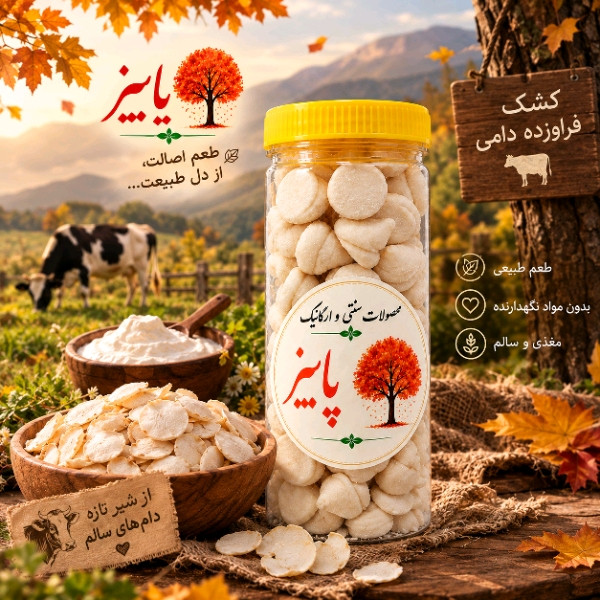 کشک مخروطی با طعم موسیر - 500 گرم مجموعه 2 عددی