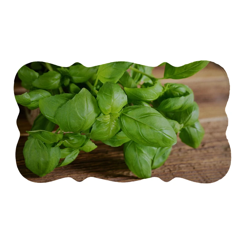 پادری مدل دالبر طرح ریحون کد 6332 سایز 110×60 سانتی متر