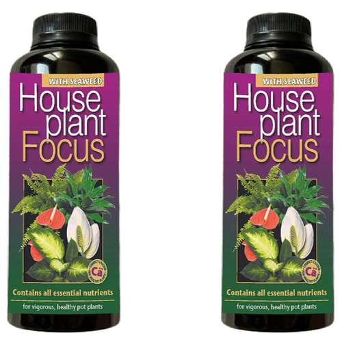 کود کامل گیاهان آپارتمانی فوکوس مدل WS حجم 300 میلی لیتر بسته دو عددی
