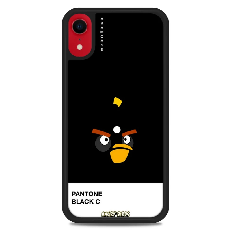 کاور آکام مدل AMC-WAXR-ANGRY BIRDS9 مناسب برای گوشی موبایل اپل iPhone XR