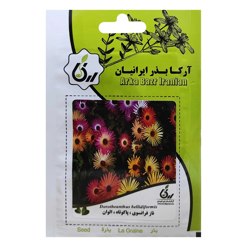 بذر ناز فرانسوی پاکوتاه الوان آرکا بذر ایرانیان کد ARK-039