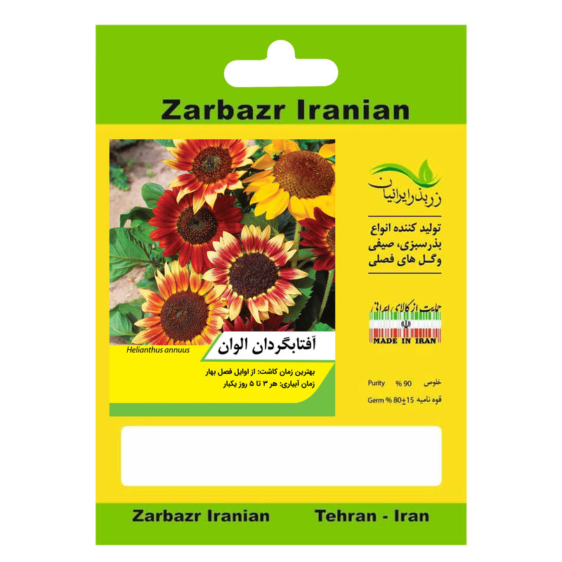 بذر گل آفتابگردان الوان زربذر ایرانیان کد ZBP-62