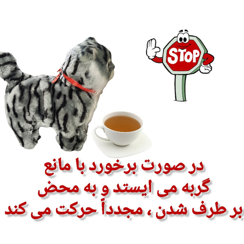 ربات کنترلی مدل گربه کد 45