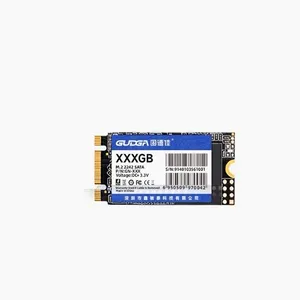 اس اس دی اینترنال گودگا مدل M.2 2242 ظرفیت 128 گیگابایت