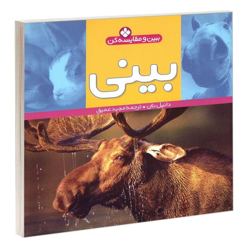کتاب ببین و مقایسه کن؛ بینی اثر دانیل نان انتشارات پنجره