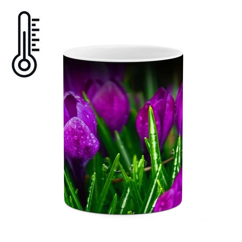 ماگ حرارتی کاکتی مدل گل کد mgh10775