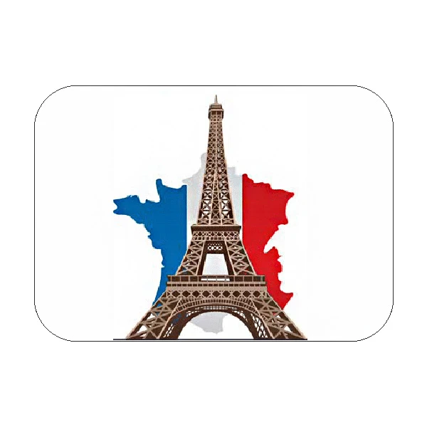  برچسب بدنه خودرو رایسان  کد SK032 مناسب برای پژو پارس